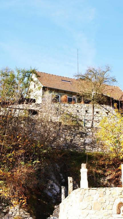 Penzion Bluegrass Club Český Krumlov Exterior foto